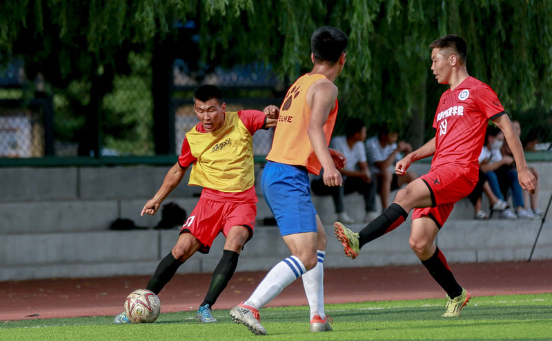 混团世界杯：国乒狂轰8-0胜韩国！双王、栋曼立功，孙颖莎休战（混团世界杯：国乒8-0横扫韩国，双王与栋曼建功，孙颖莎轮休）